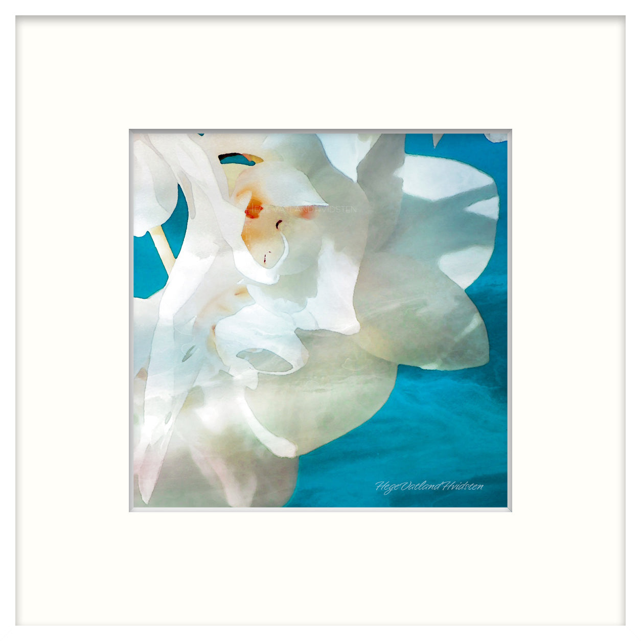 Giclée, signert for hånd